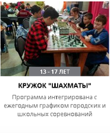 Шахматы